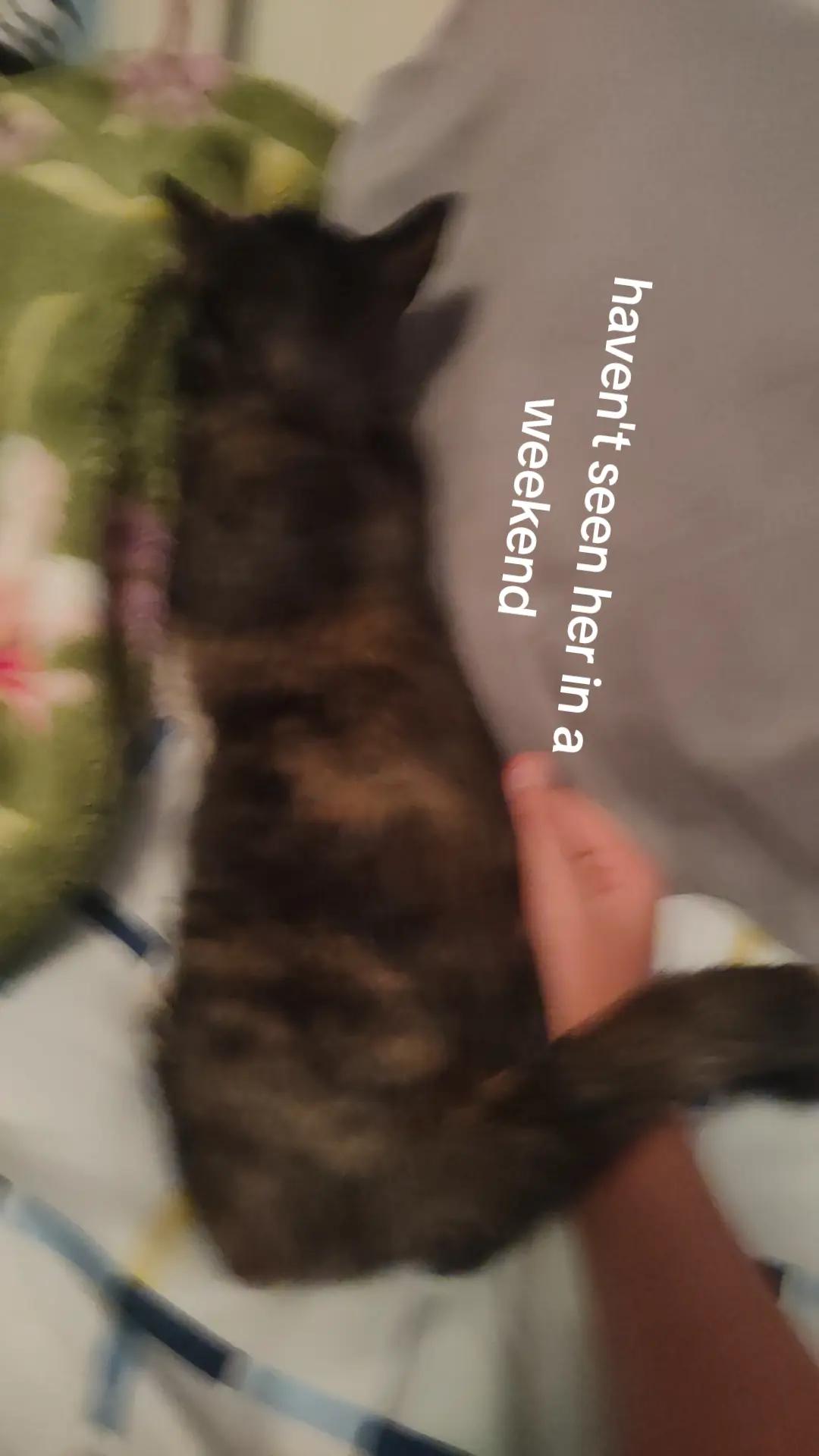 @Minecraftbro529