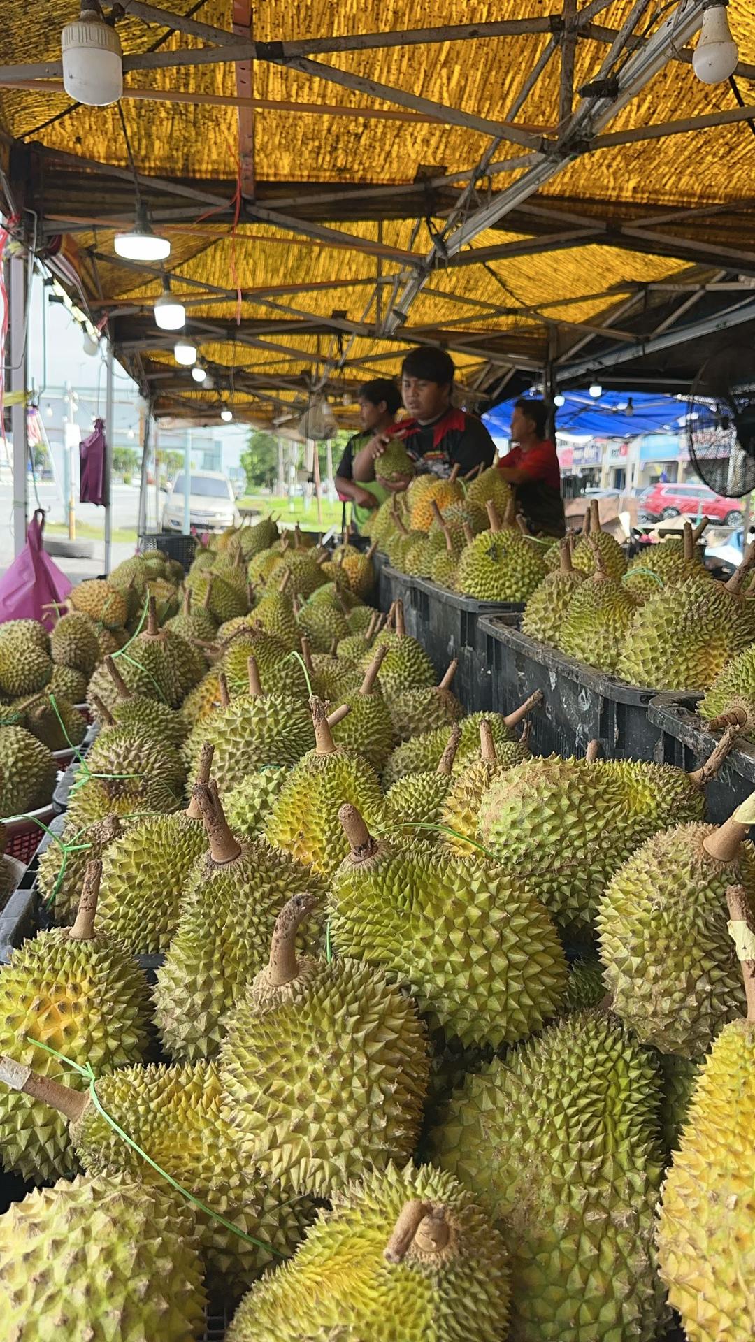 @Gerai Durian Murah Perlis 🇺🇦