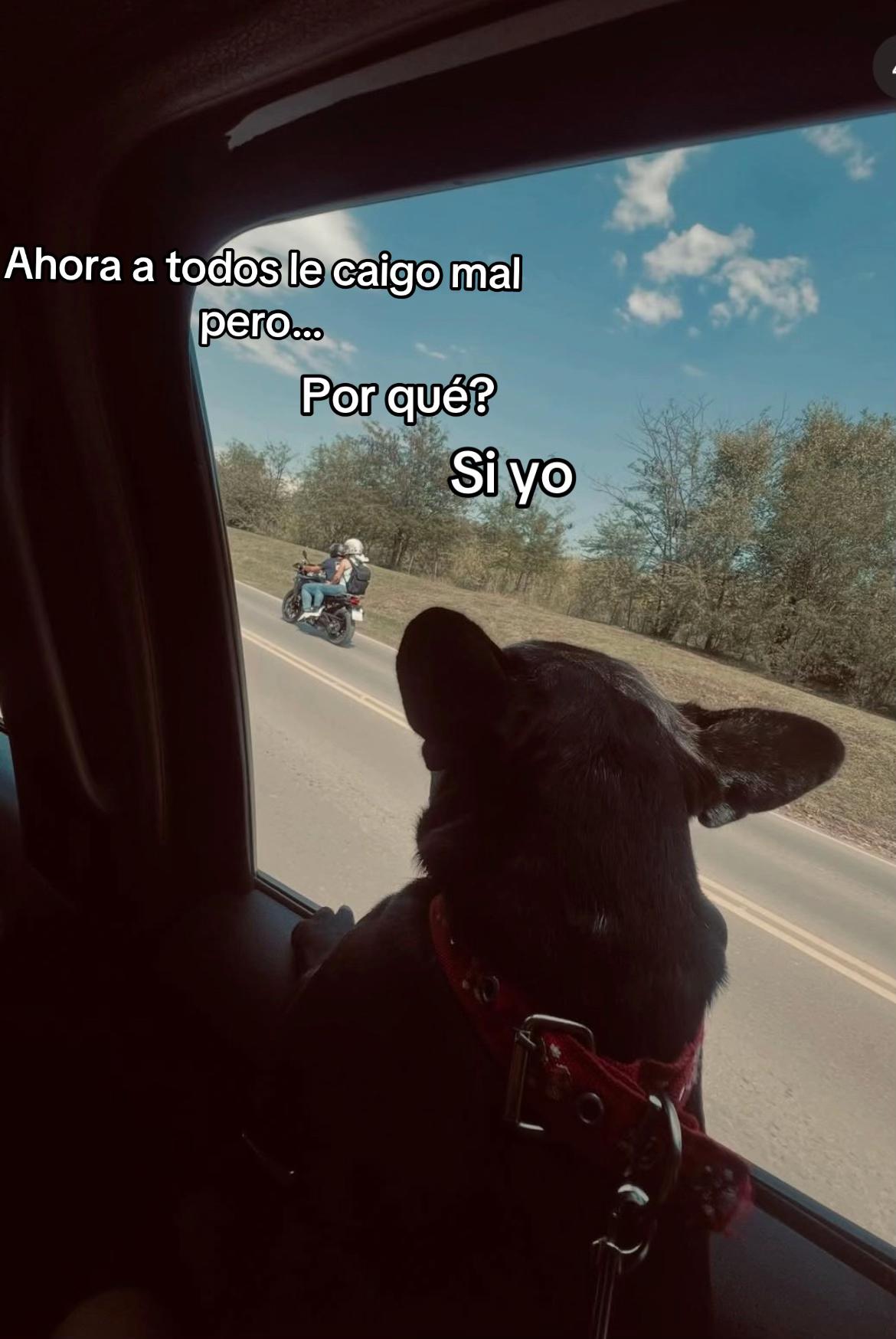 @Zalvaaa⚡️😍😉