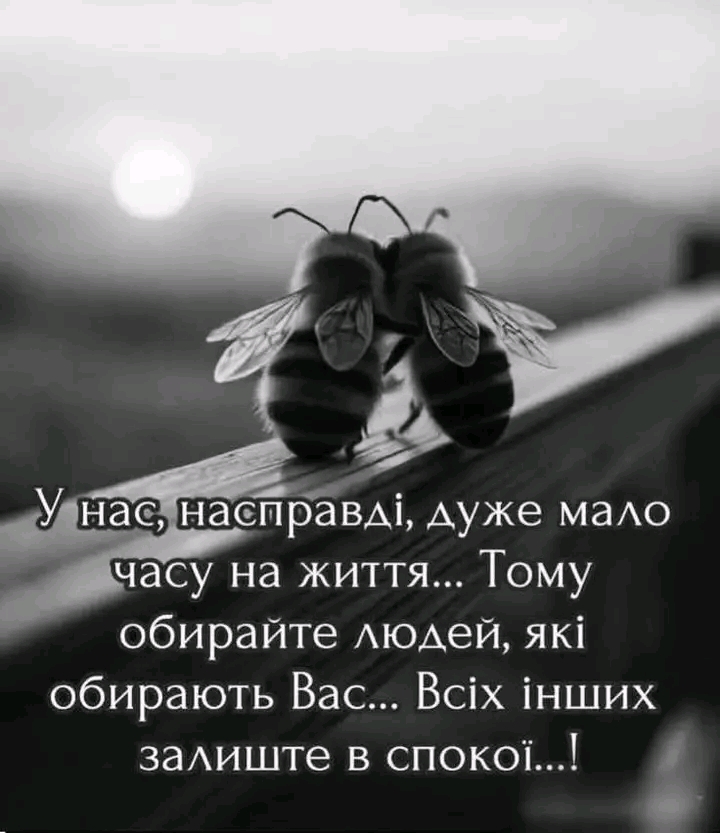 @Светлана