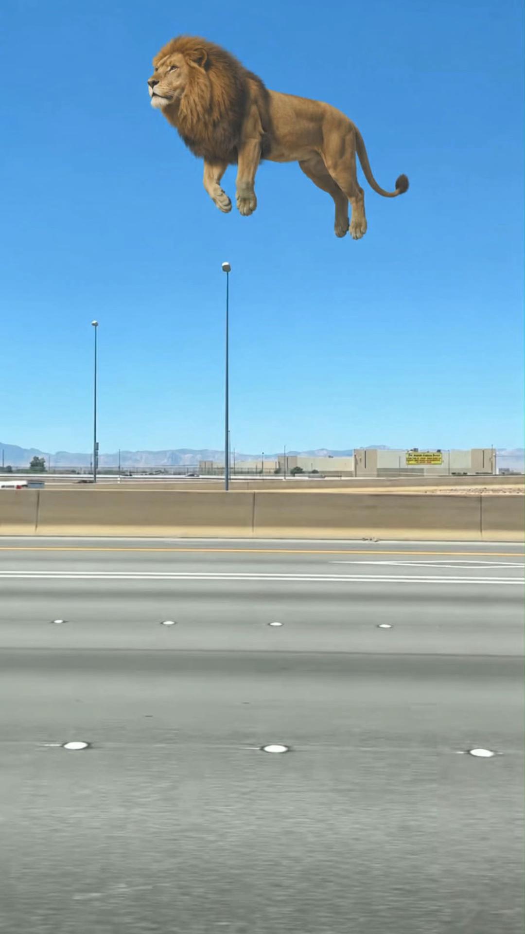 @Avienix