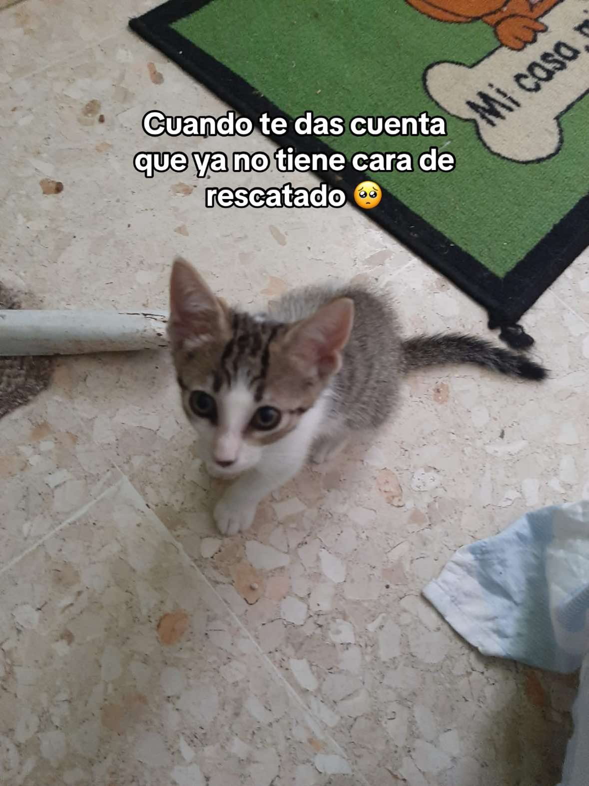 @Yennifer Alejandra