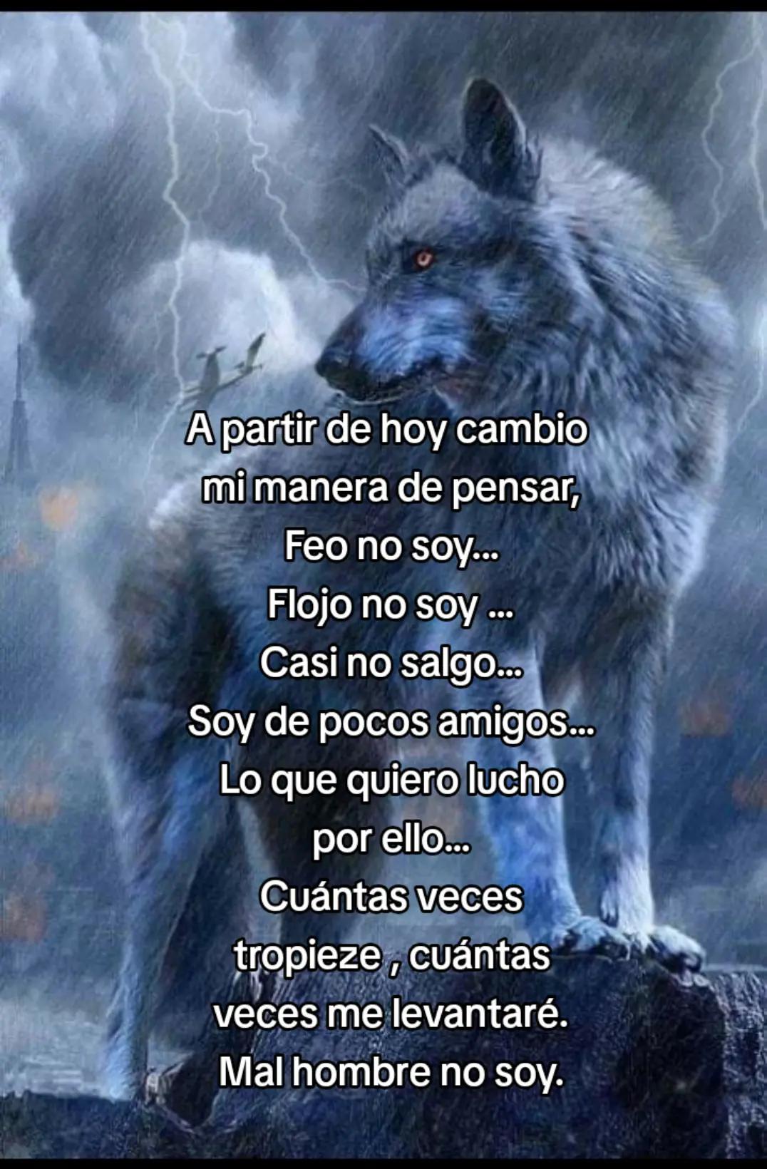 @Rafael V.J.(Lobito)