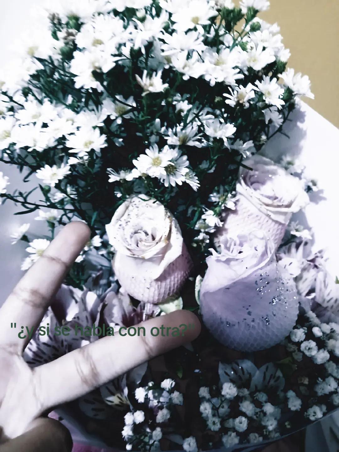 @BRIGITH🧟♀️
