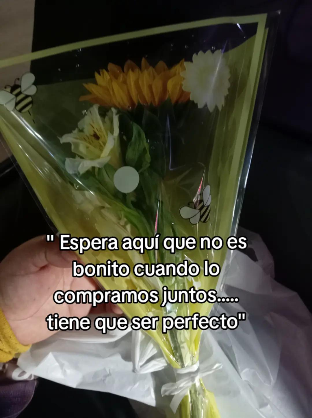 @Hana AOi