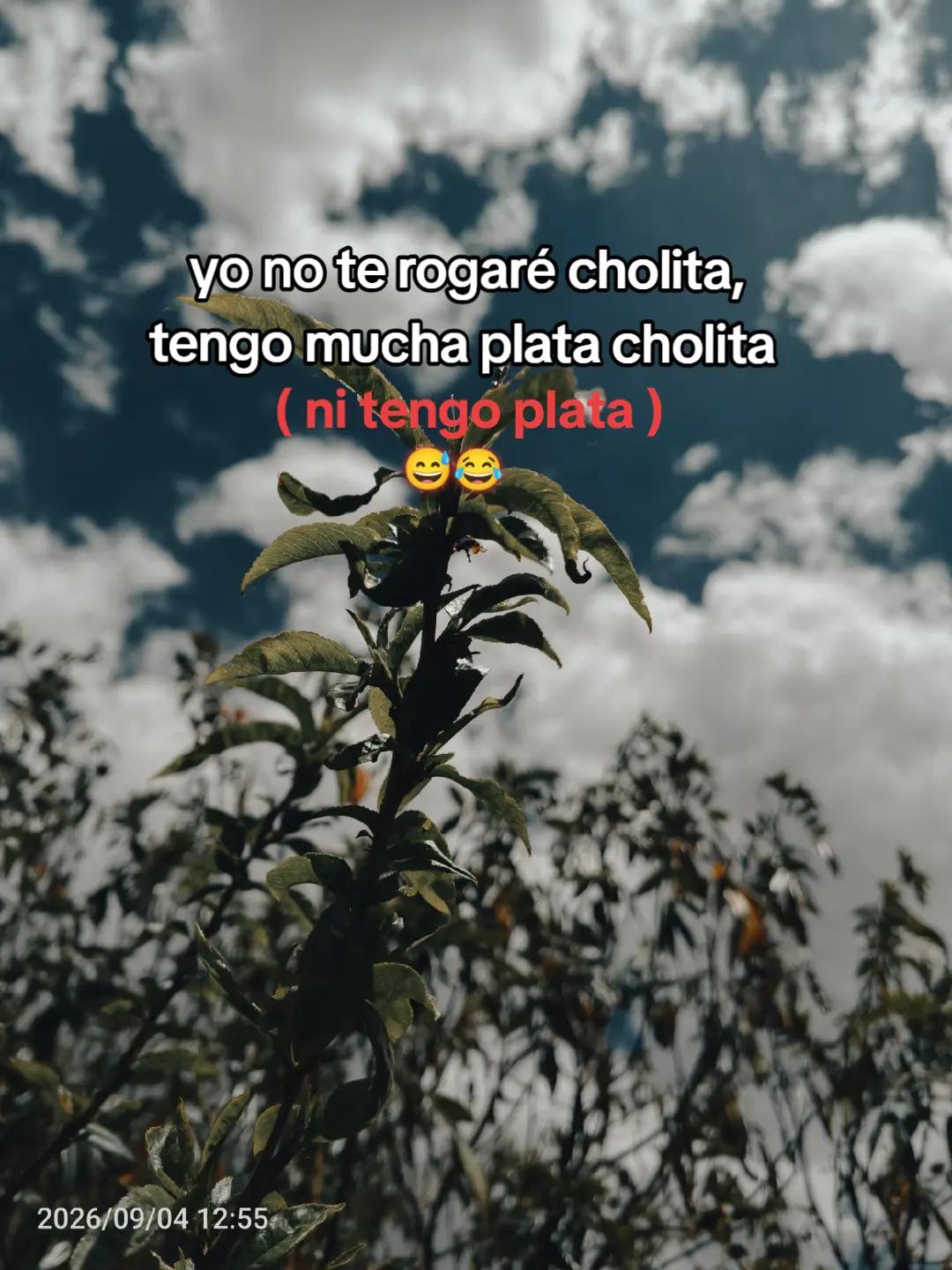 @alex  antony ♒