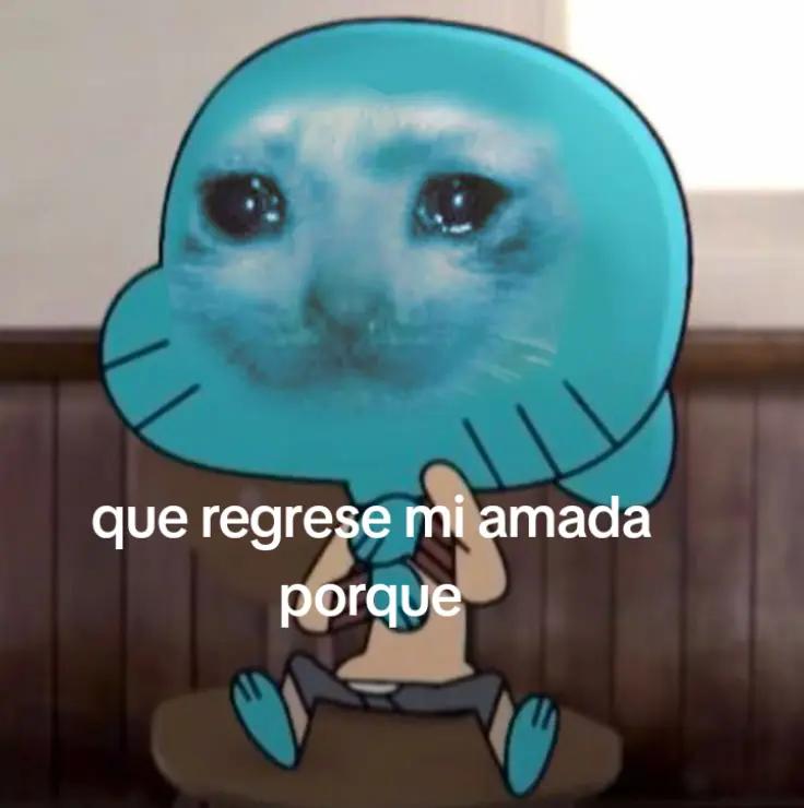 @☆cata♡&deg;&bull;☆