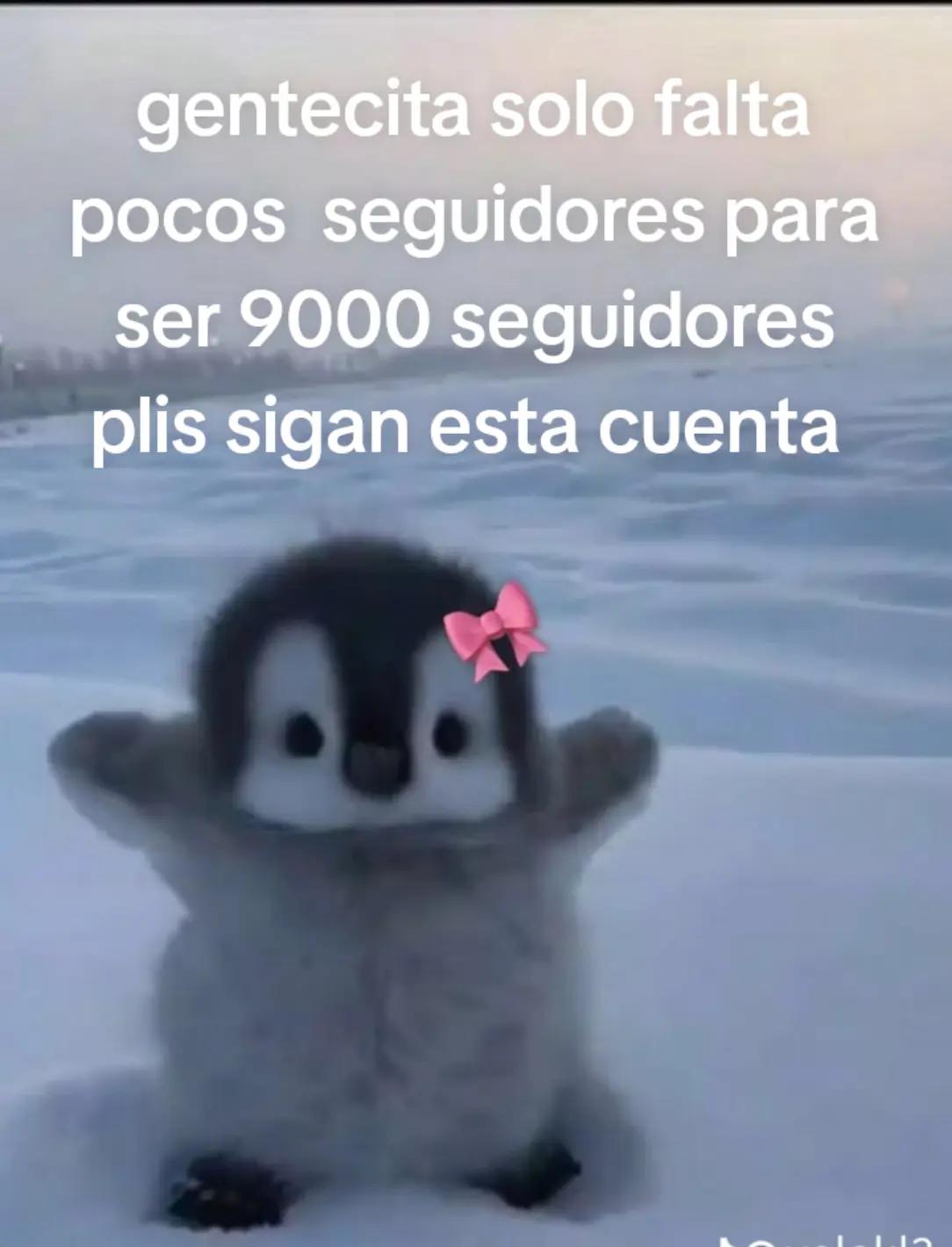 @lila