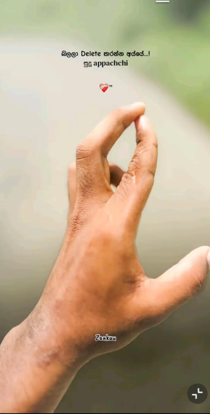 @💎🇰 🇮 🇳 🇬╰⁔╯ 𝓚𝓞𝓛𝓘