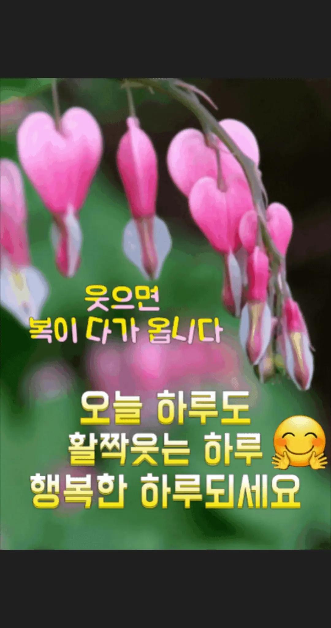 @이창룡