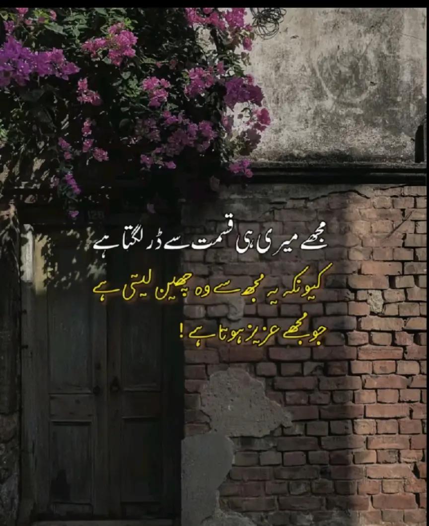 @꧁ঔৣ☬✞🇦 🇱 🇴 🇳 🇪   ✞☬ঔৣ꧂🥀