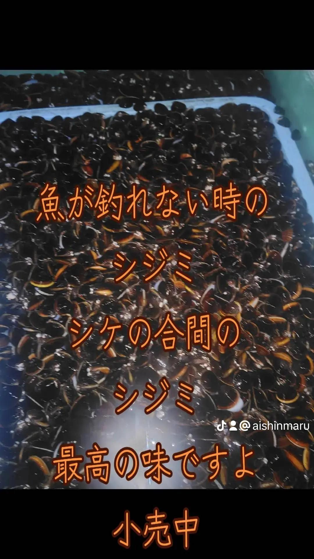@愛真丸