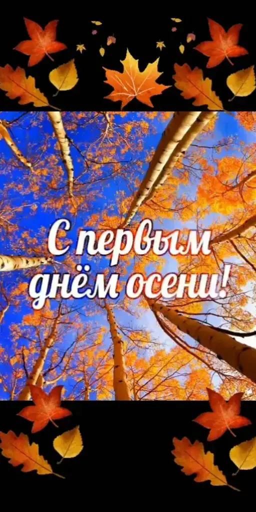 @dolmatov3873