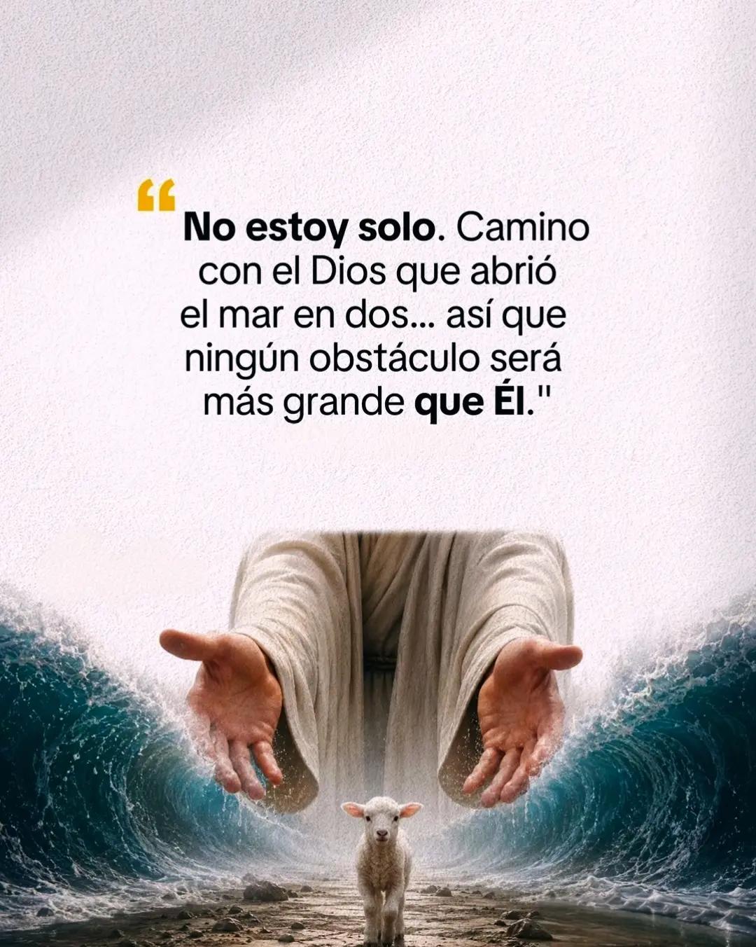 @Matias C