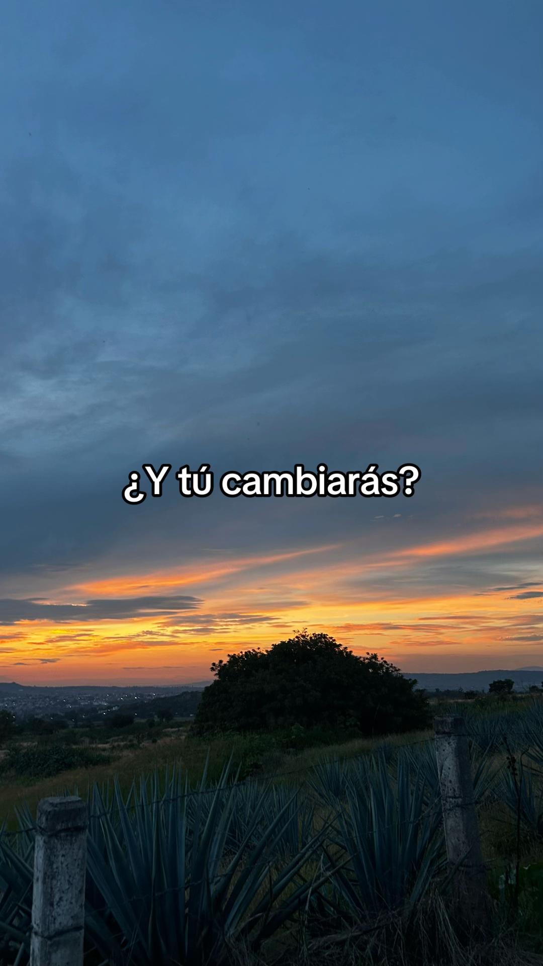 @🖇️myhatake.oficial