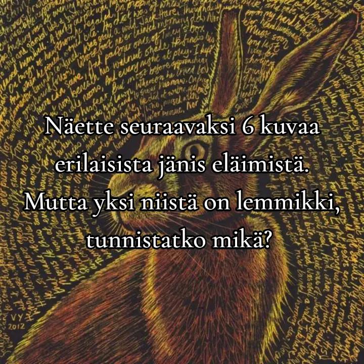 @johtaja yli kensartti luotinen