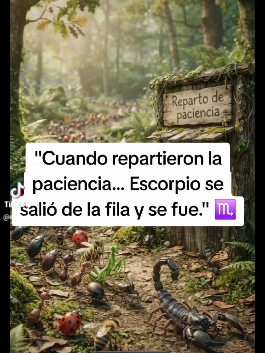 @yeseraye tarot
