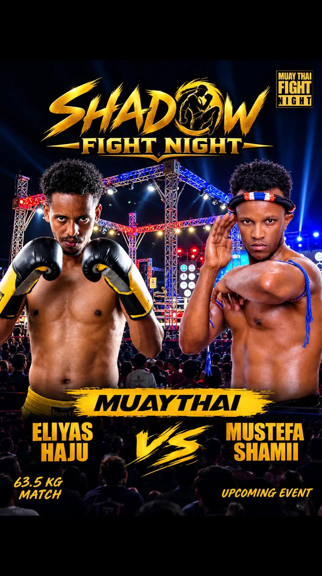 @Tedi shadow muay thai