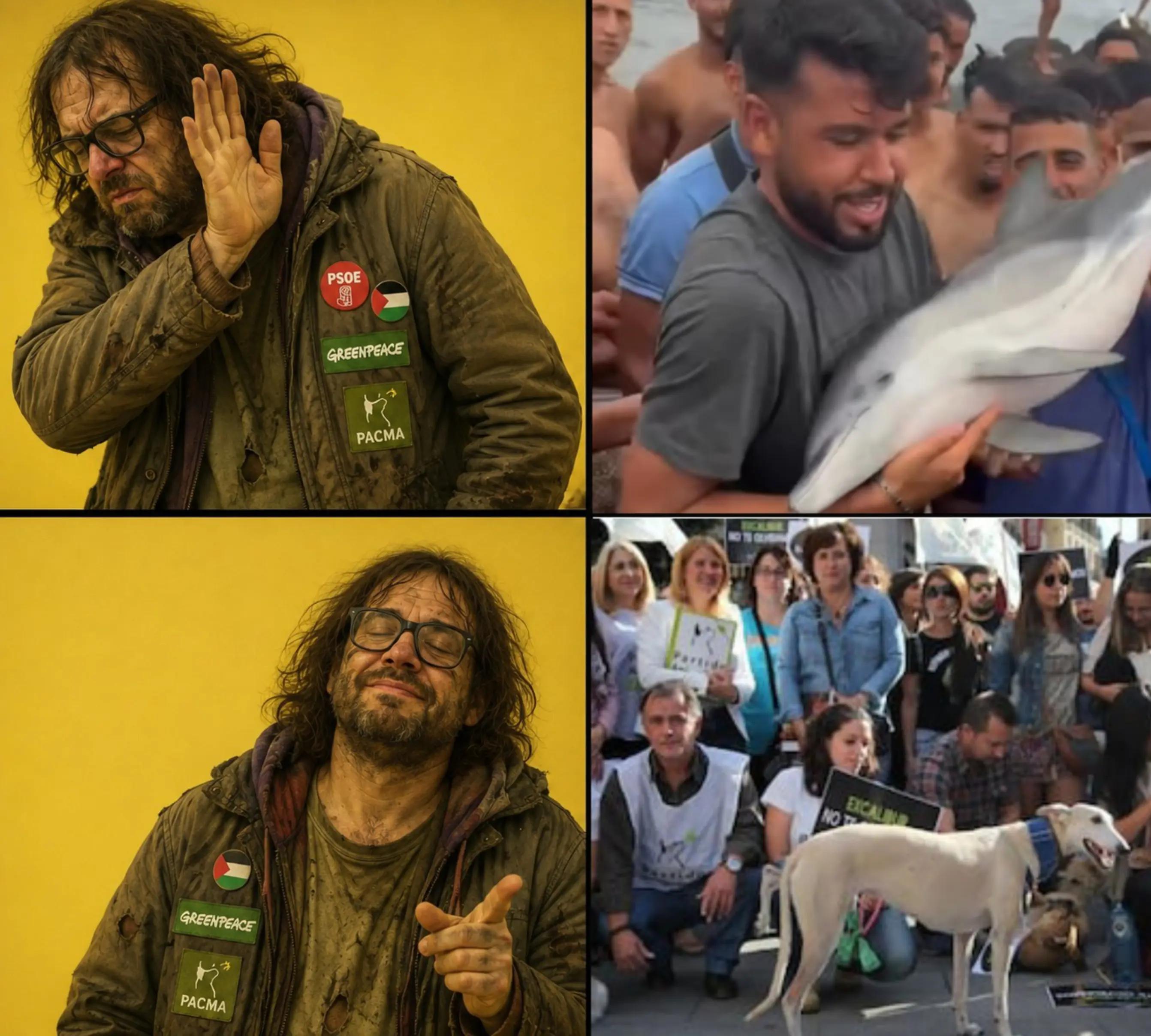 @PedroIMorolandia