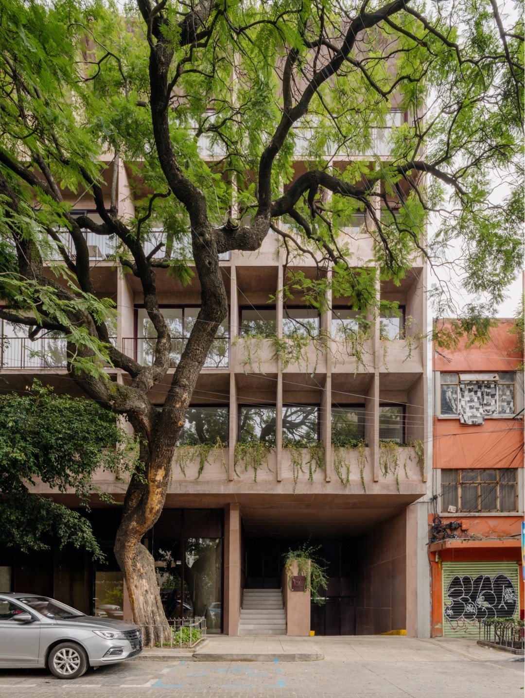 @Arquitect&oacute;nica