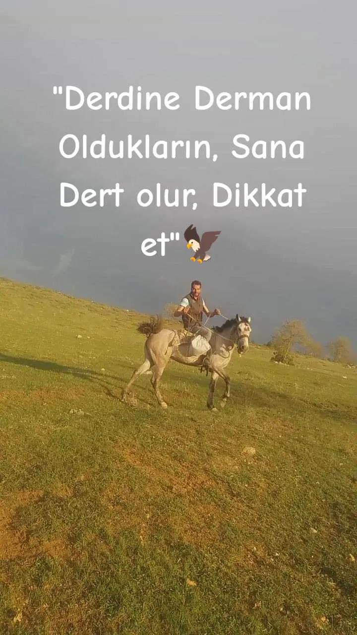 @ibrahim. 0666