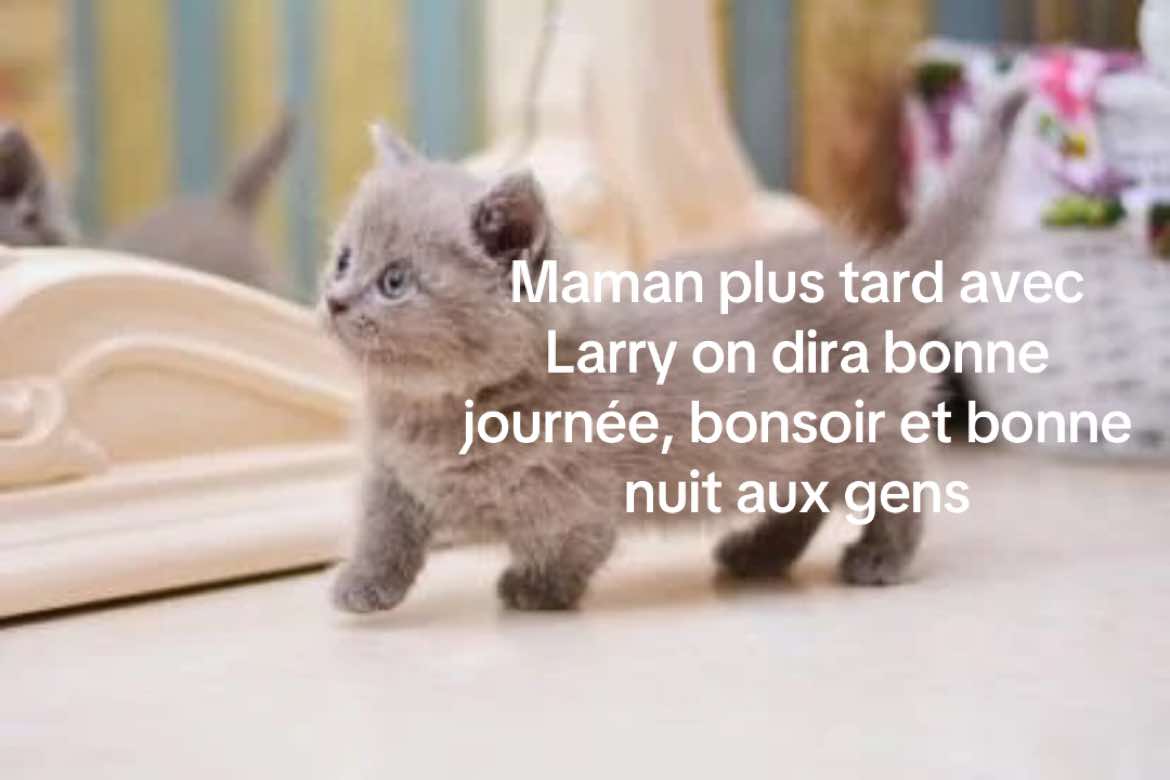 @🎀
