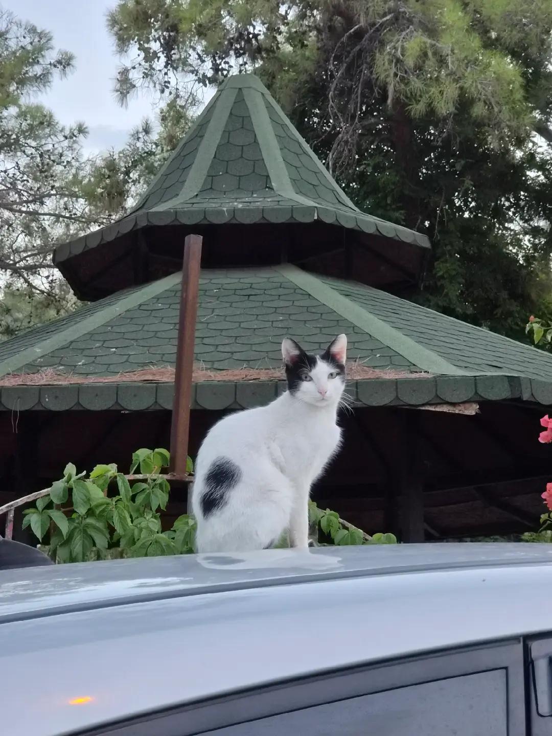 @ꨄ𝒶𝓃.𝓃𝓌𝓌 ꨄ