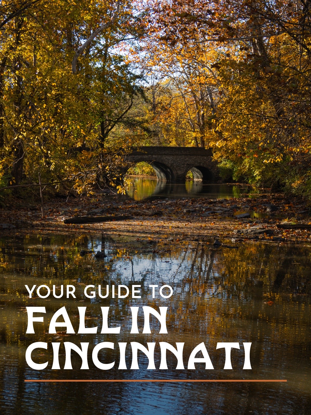 @Cincy Experience