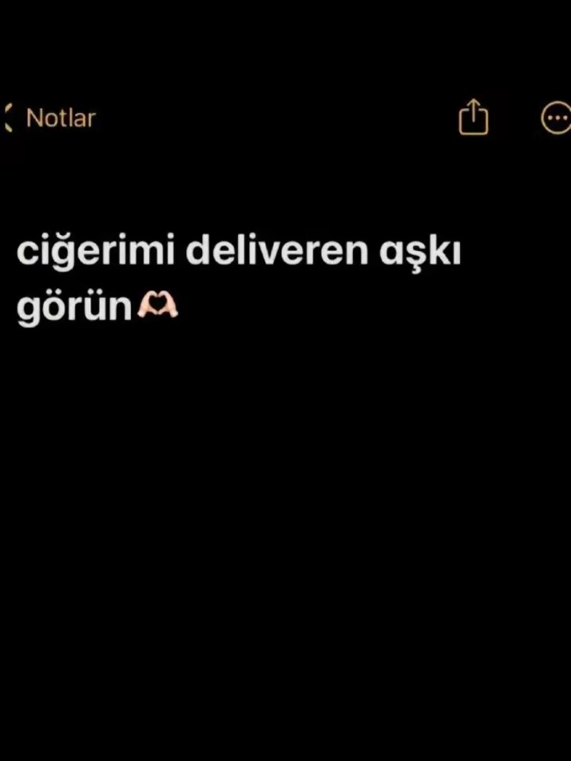 @Mahmut CAnn