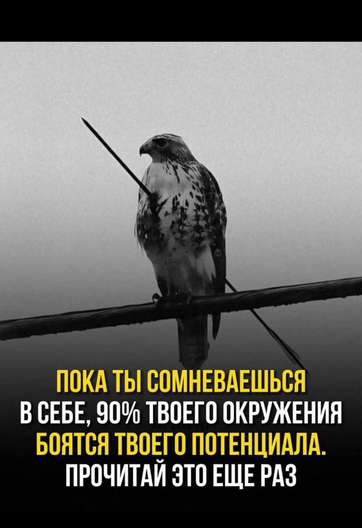 @Vasilis Kananidis