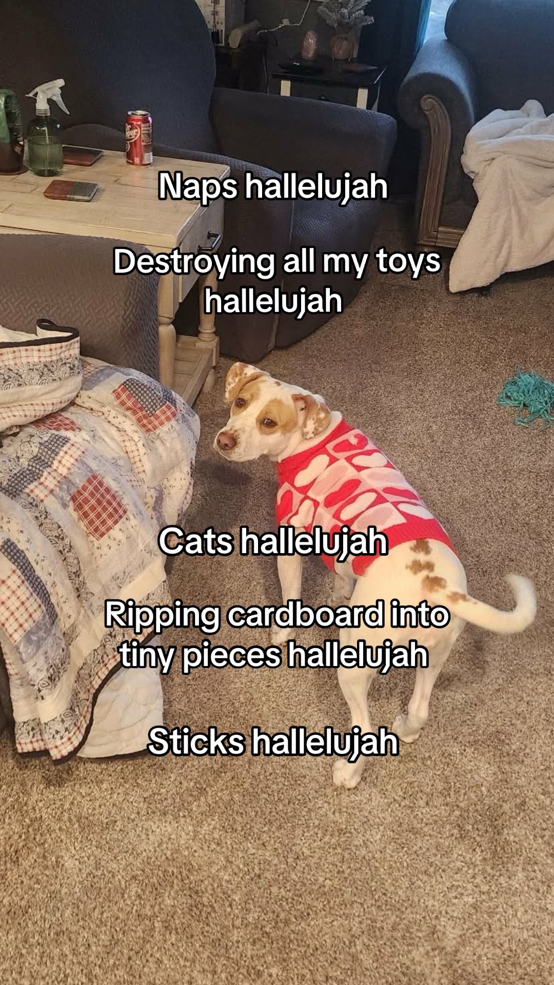 @Sproutie 🐶