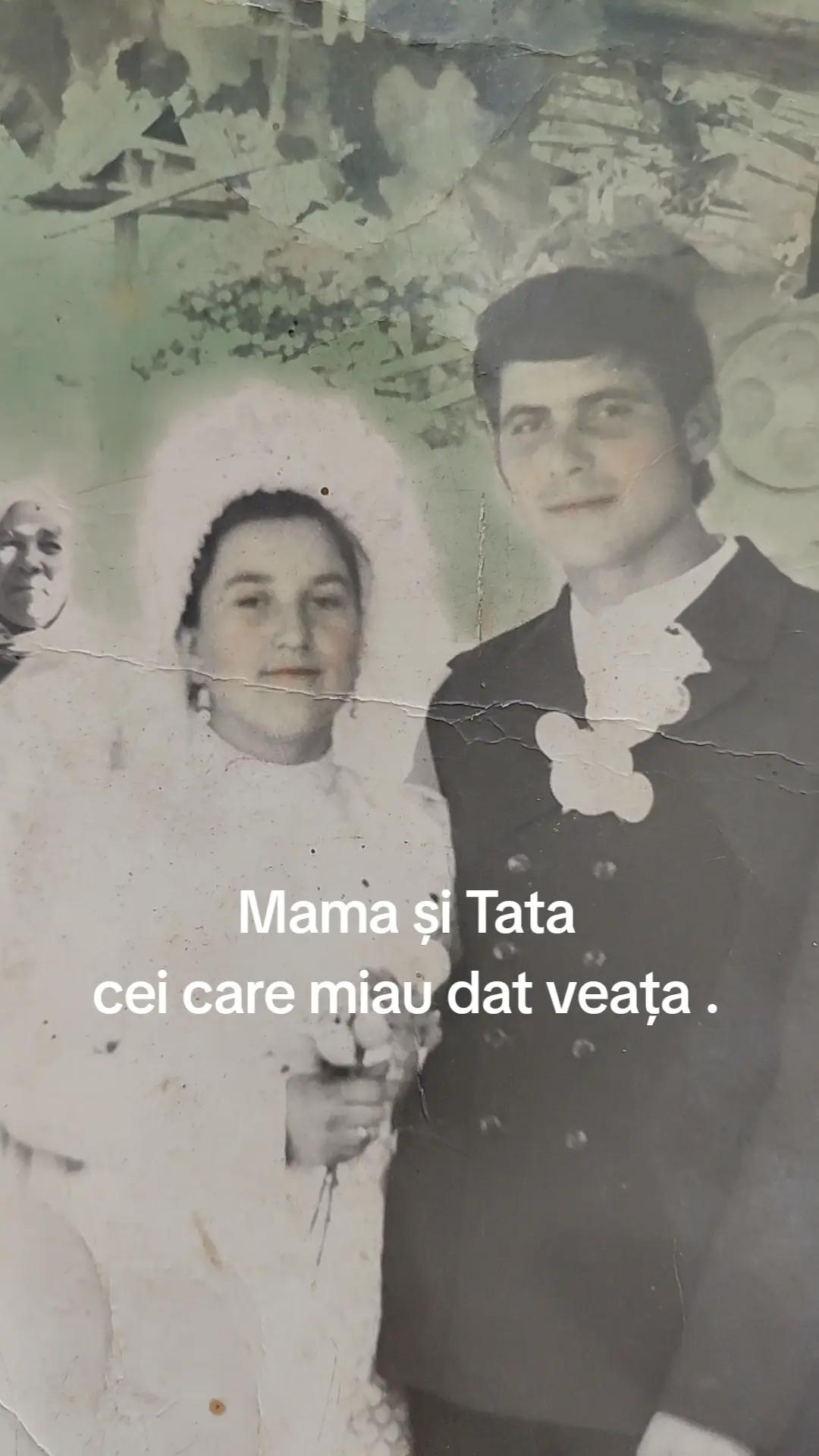 @verabodorovici