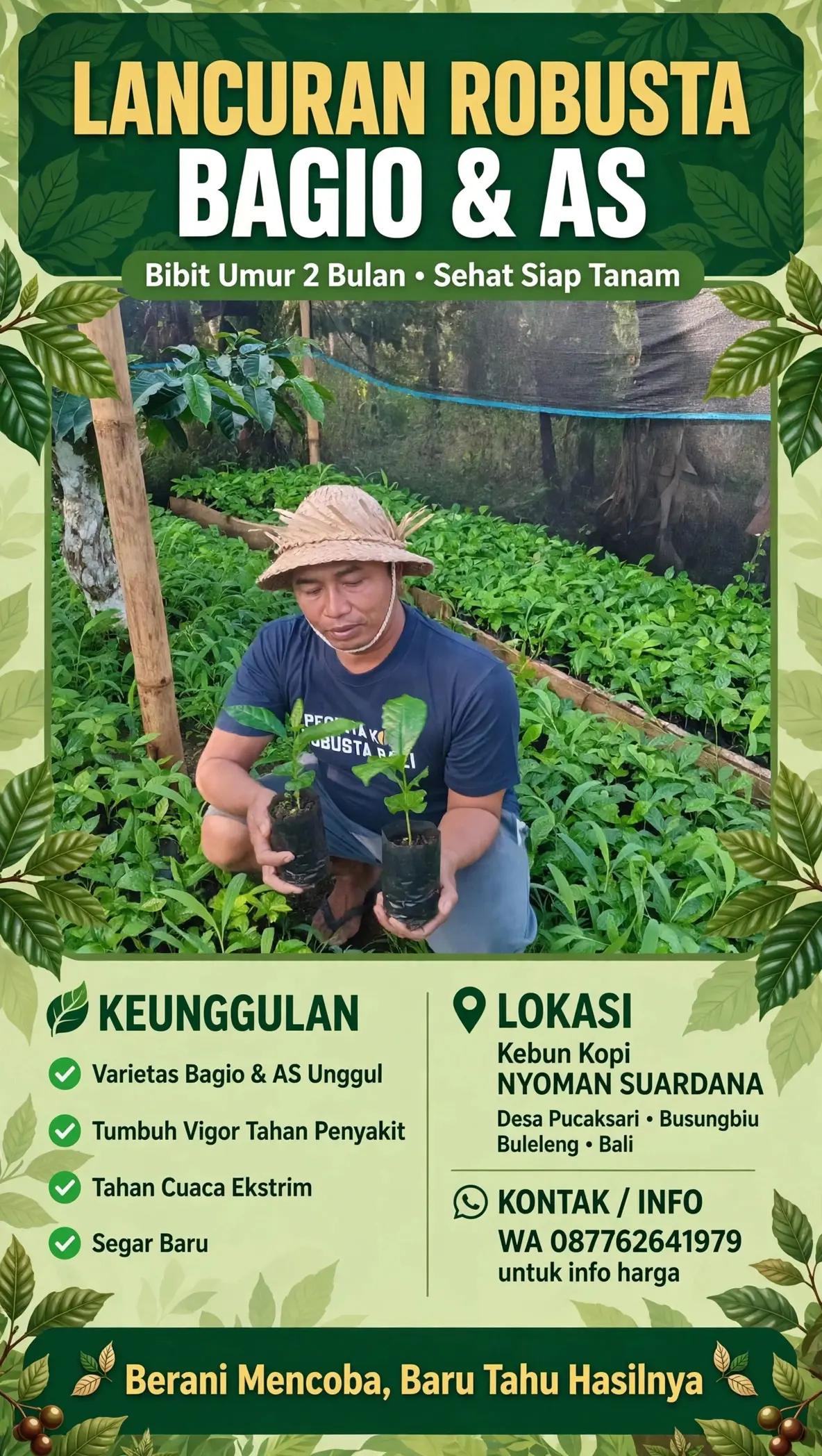 @Nyoman Suardana