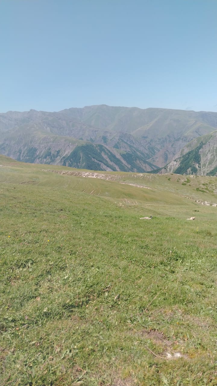 @Füzuli səfərov