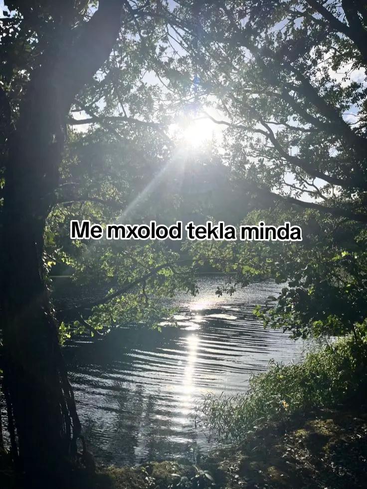 @tekklamiyyvarxarr