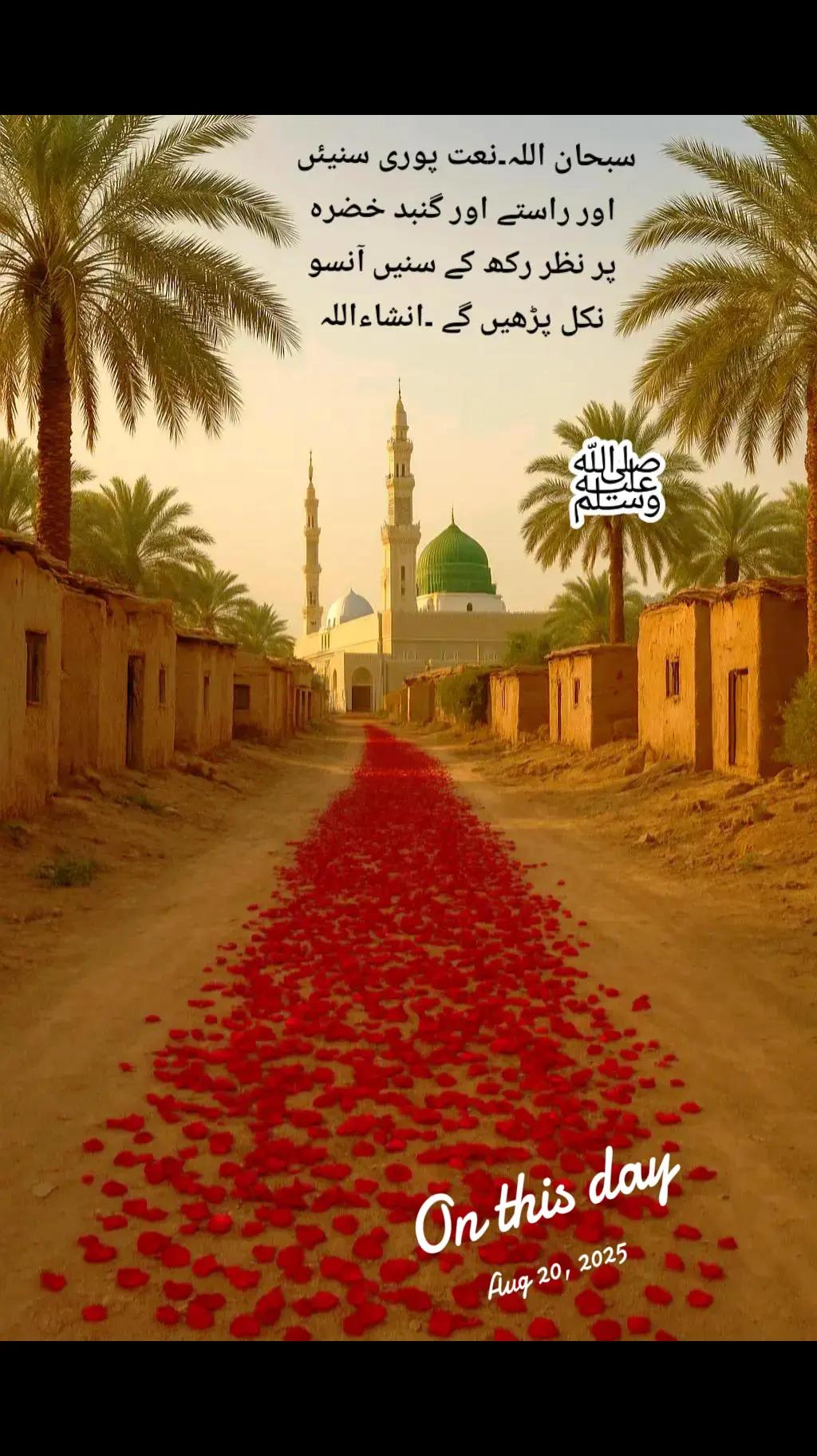 @Amin/Dogar