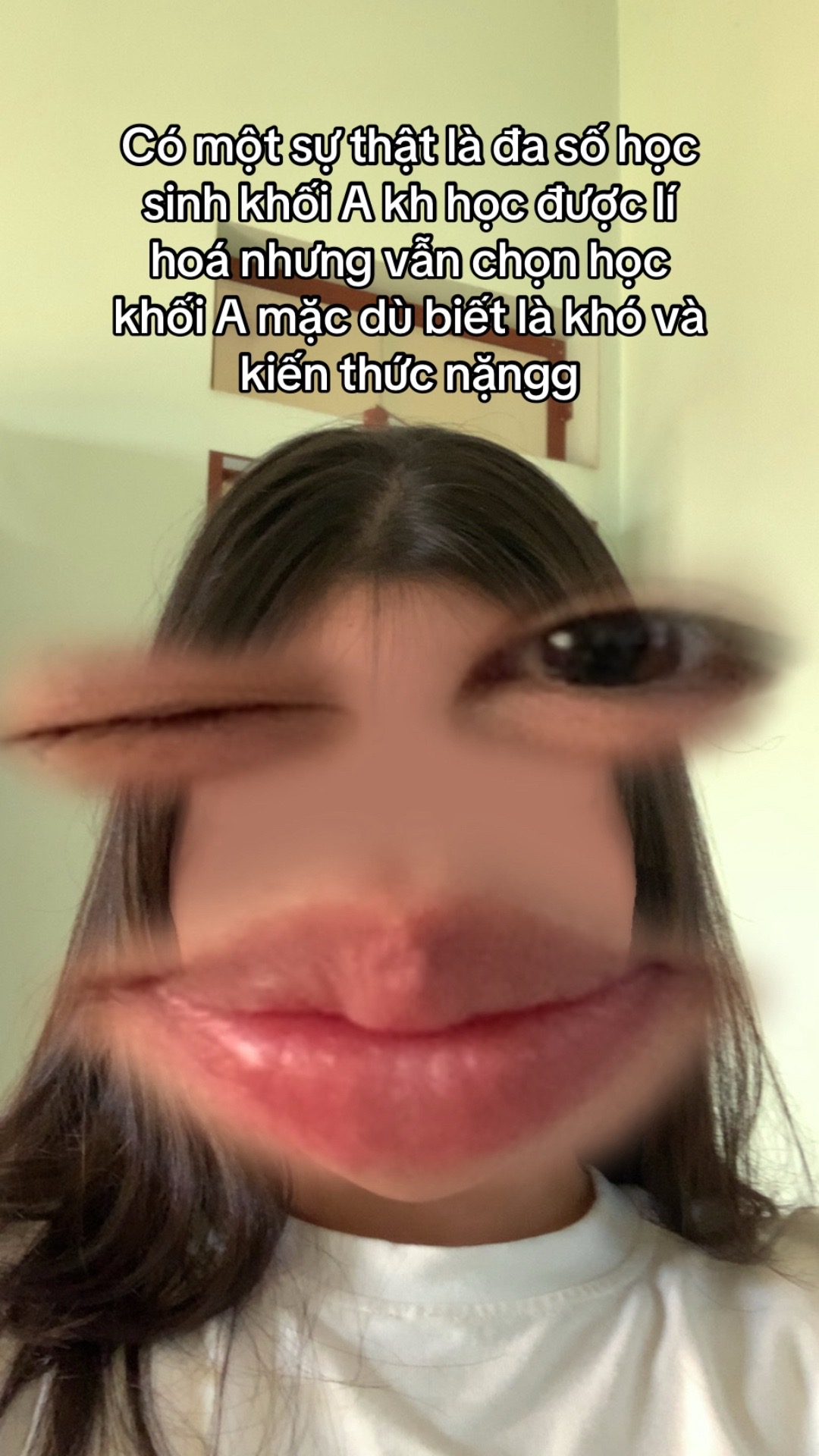 @ngố