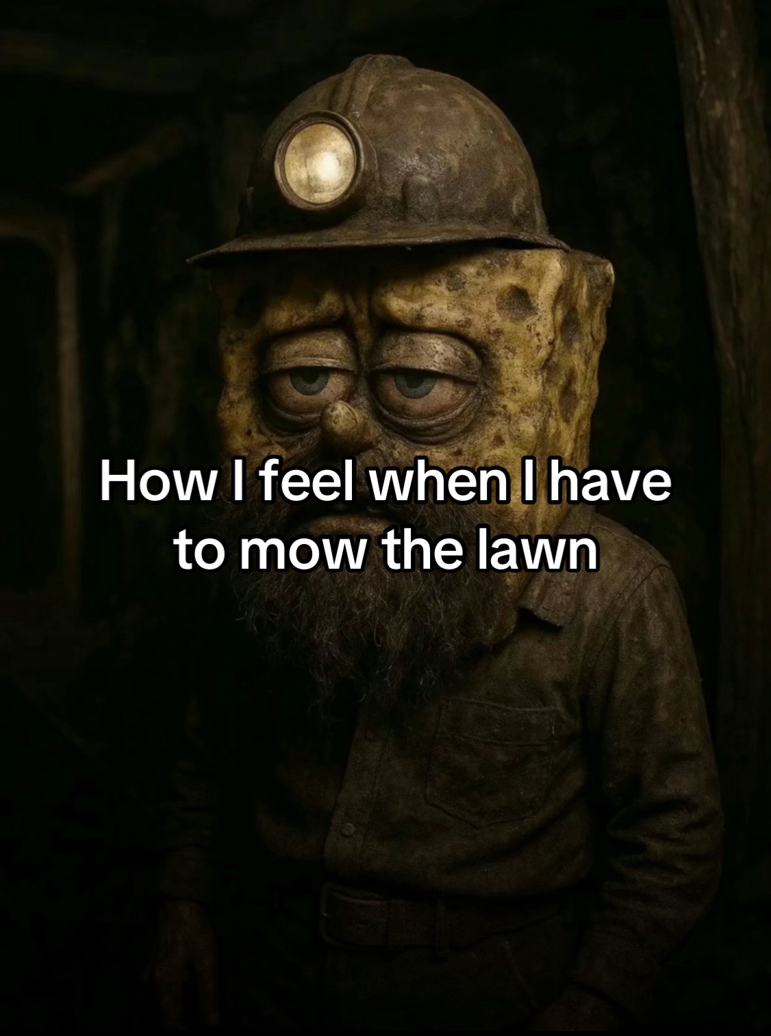 @Any meme