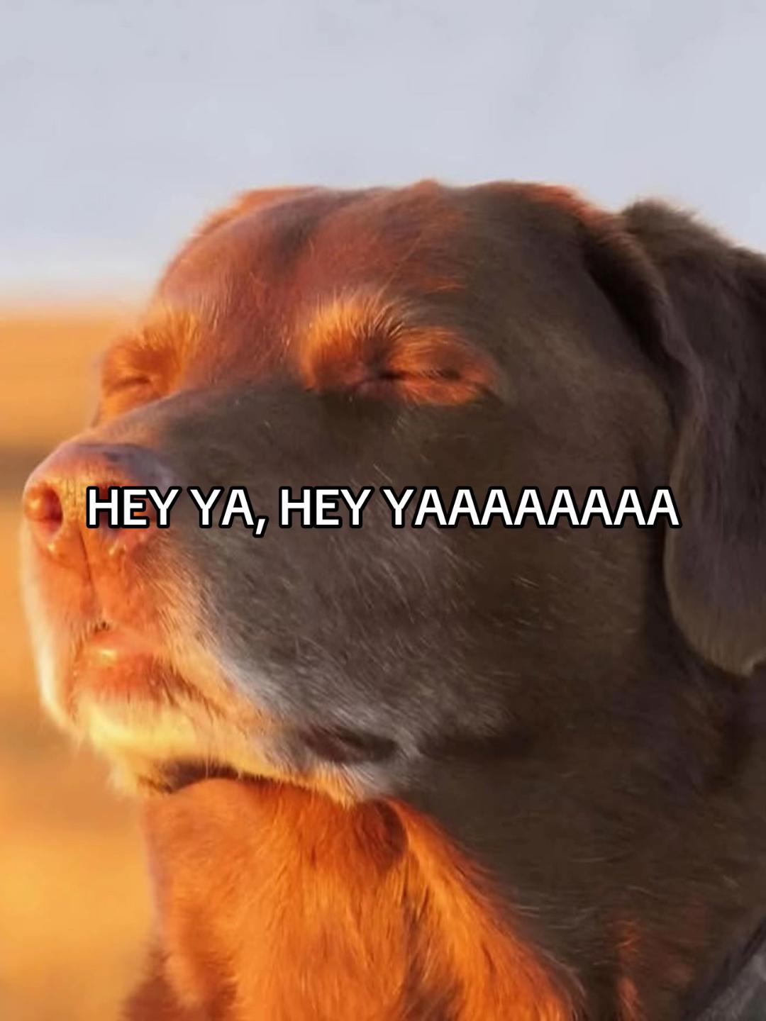 @Monstercat