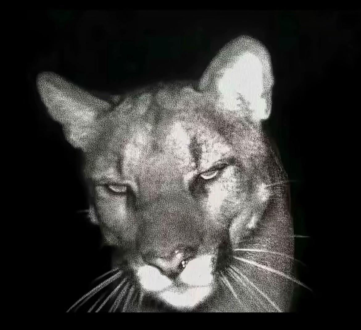 @Caty AteNys🦂