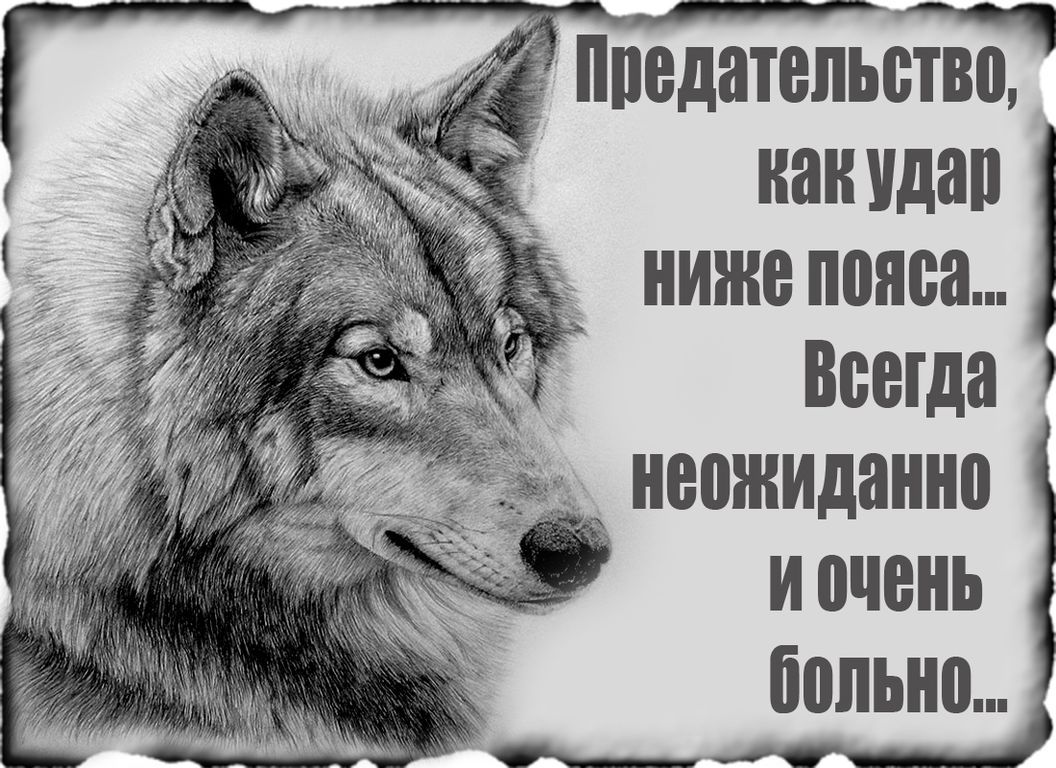 @СахарныеМысли