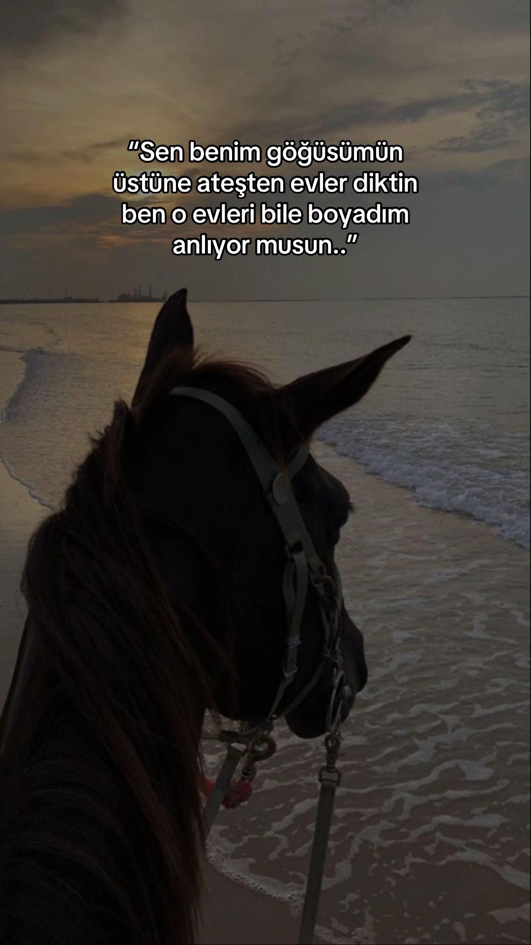 @ℰ𝓁𝓏𝑒𝓂