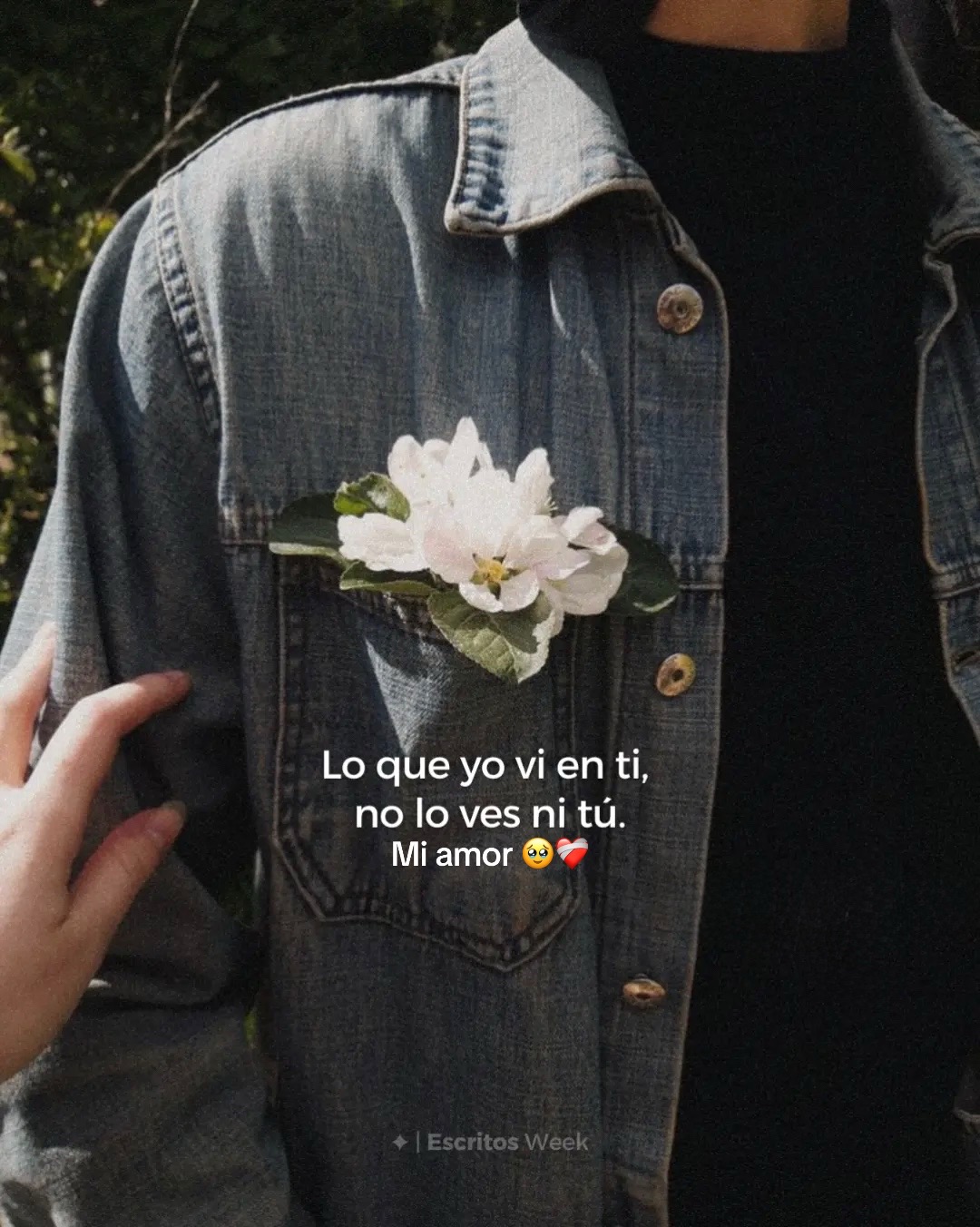 @Abi P&eacute;rez