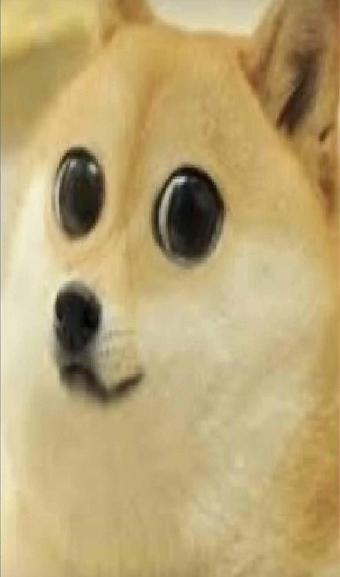 @nezo
