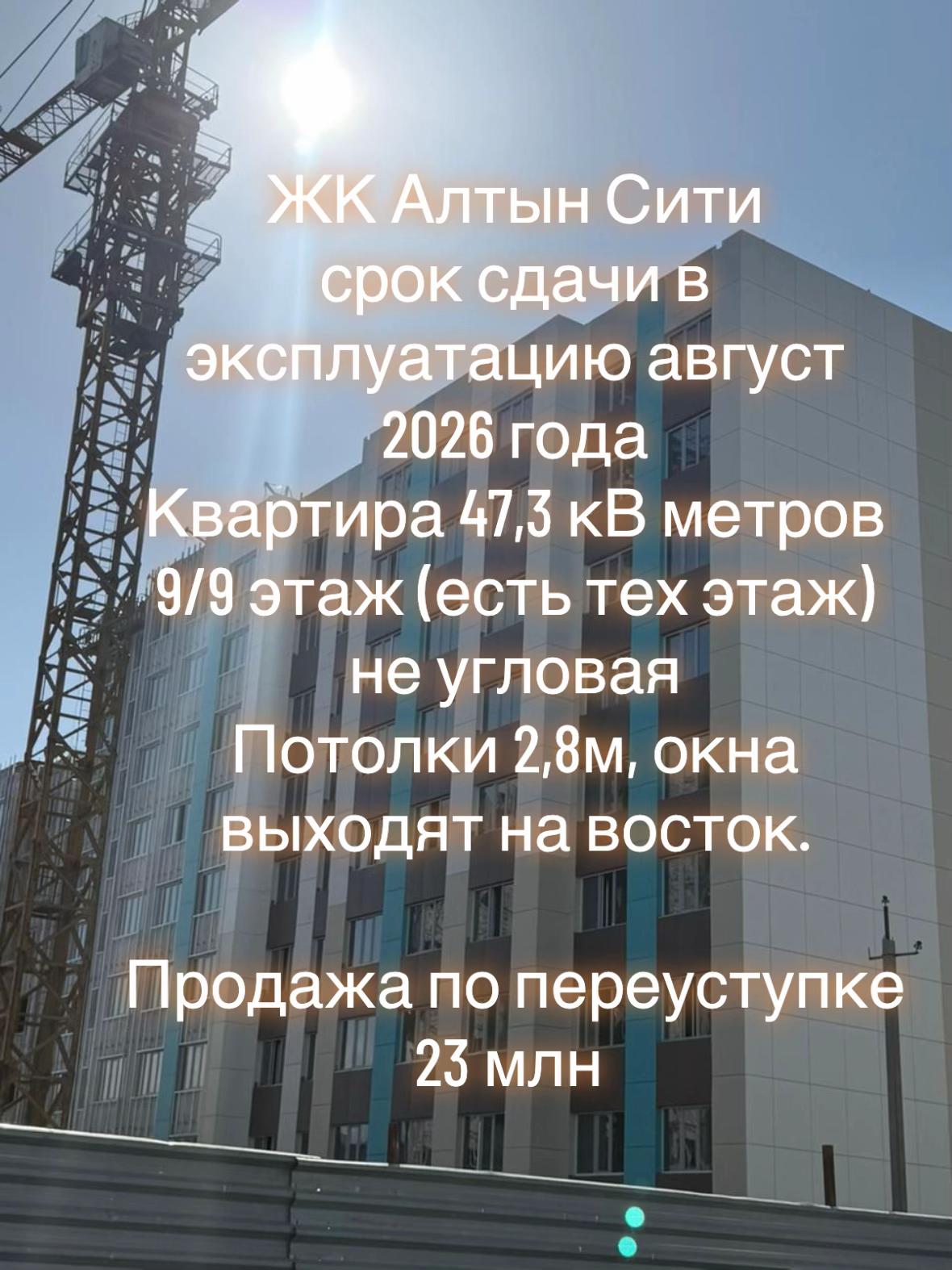 @assel.smagulova1