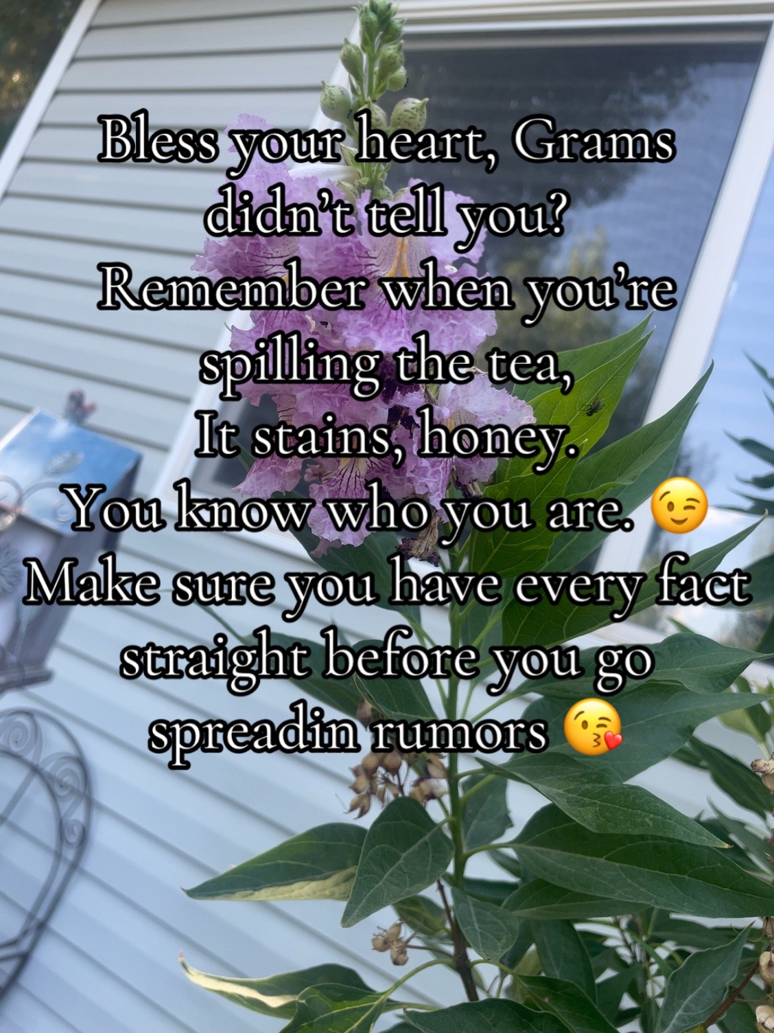 @Lexie 🧠🫧