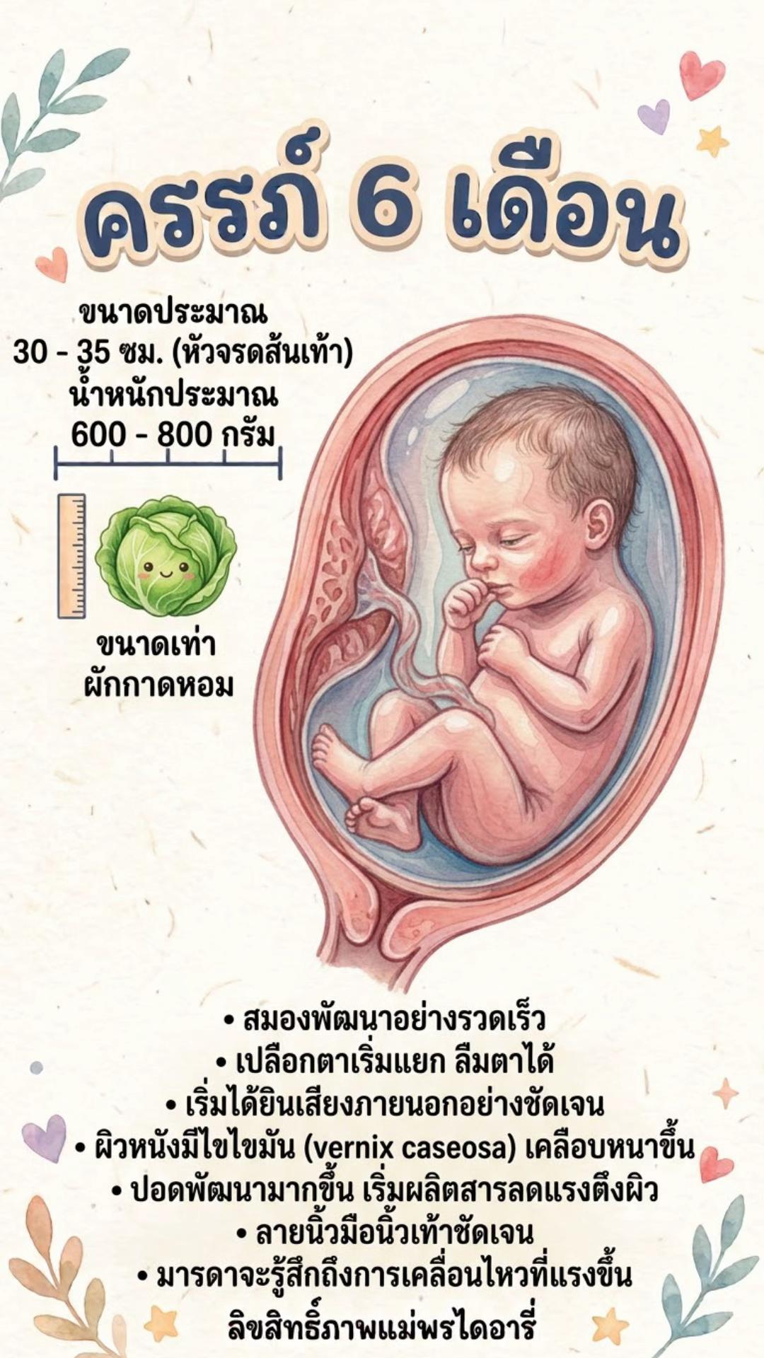 @แม่พรไดอารี่(20k)