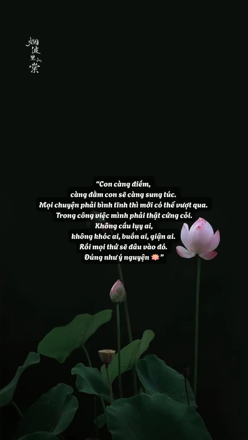@hạt giống tâm hồn🌱