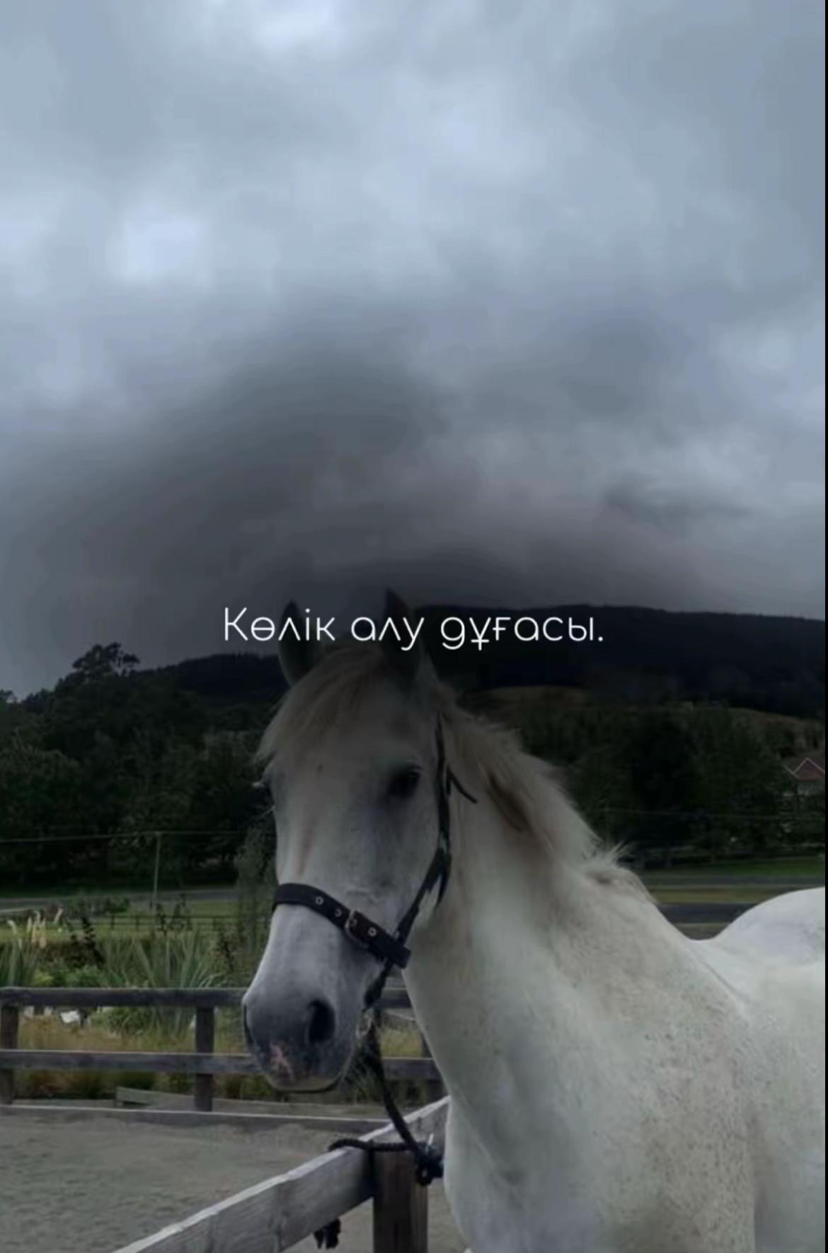 @Көркем Дұғалар🤲🏻❤️