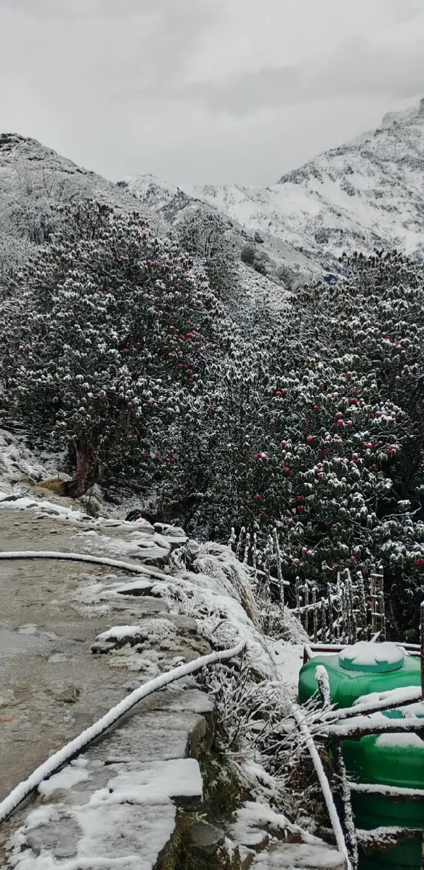 @GTM.अ....//